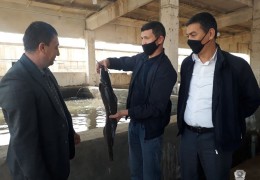 Жиззах вилоятида балиқчилик тармоғини ривожлантиришда барча имкониятлар етарли