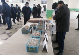 “Бухоро агрокластер” пахта-тўқимачилик кластер корхонасида ОАВ вакиллари учун пресс-тур ташкил этилди