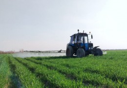 Качество агротехнических мероприятий на зерновых полях контролирует Узагроинспекция