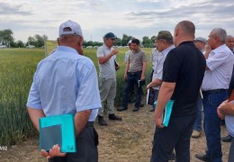 Хорезм: Организован семинар по разрешительной проверке полей семенного зерна