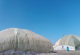 Xorazm: kelgusi yil hosili uchun jamg‘arilgan urug‘lik paxta xom-ashyosining g‘aramlarda saqlanishi nazoratda