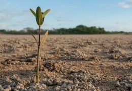 Незаконно использованные земли были возвращены в районные земельные  запасы