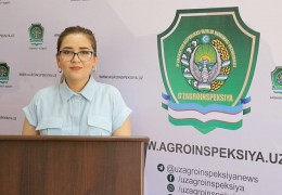 Chorvachilik yo‘nalishida joriy yilda qiymati 3 trln. 713 mlrd. 700 mln. so‘mlik jami 1 ming 14 ta  loyihalarini amalga oshirish belgilangan