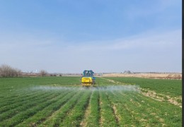 The implementation of agrotechnical activities in grain fields is under the control of the inspectorate.