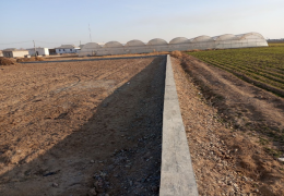 Surkhandarya: damage to agricultural lands amounts to 730 million soums