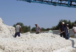 Пахта қабул қилишда низолар Арбитраж гуруҳлари томонидан холис кўриб чиқилмоқда