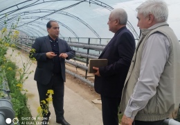 Starting this year, Uzagroinspektsiya will cooperate with research institutes of the National Center for Knowledge and Innovation in Agriculture.