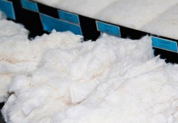 Compulsory certification of cotton fiber produced in excess of its needs is established, otherwise...