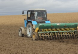 G‘alla ekishda agrotexnik tadbirlarning bajarilishi monitoring qilindi