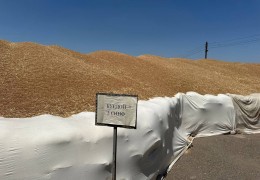 The transfer of grains received in the open area to the closed capacity is under control