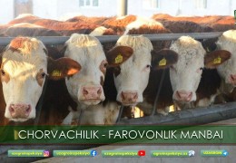 ЖИВОТНОВОДСТВО – ИСТОЧНИК БЛАГОПОЛУЧИЯ