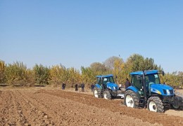 СИФАТЛИ ШУДГОР КЕЛГУСИ ЙИЛ ҲОСИЛИНИНГ ГАРОВИ