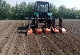 САЖЕНЦЫ И АГРОТЕХНИЧЕСКИЕ МЕРОПРИЯТИЯ ПОД ИНСПЕКЦИОННЫМ КОНТРОЛЕМ