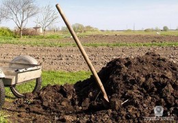 НАВОИЙДА КУЗГИ БОШОҚЛИ ДОН БЎЙИЧА МУҲИМ АГРОТЕХНИК ТАДБИР СИФАТЛИ БАЖАРИЛЯПТИМИ?