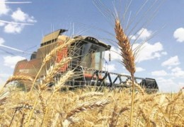 G‘ALLA O‘RIM KOMBAYNLARI MAVSUMGA SHAY