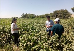 AGROTECHNICAL EVENTS ARE BEING MONITORED