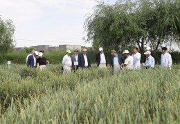 A SEMINAR ON GRAIN SEED PRODUCTIVITY ASSESSMENT WAS ORGANIZED IN THE CENTER IN THE PRESENCE OF AGROINSPECTION