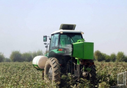 G‘o‘za defoliatsiyasi o‘z nihoyasiga yetdi, tadbirda 4 mingdan ortiq OVX purkagichlari qatnashdi