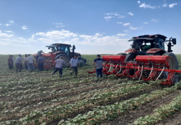 G‘o‘za maydonlarida agrotexnik tadbirlar o‘tkazilishi muhim pallaga kirdi