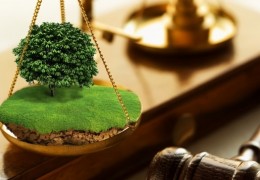Нарушения законодательства, связанные с землей, выявлены в 6 районах Ташкента
