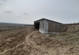 Обстоятельства, послужившие причиной вывода земель из сельскохозяйственного использования, устанавливаются