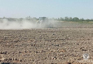Yerdan unumli foydalanish – farovon hayotning mustahkam poydevori